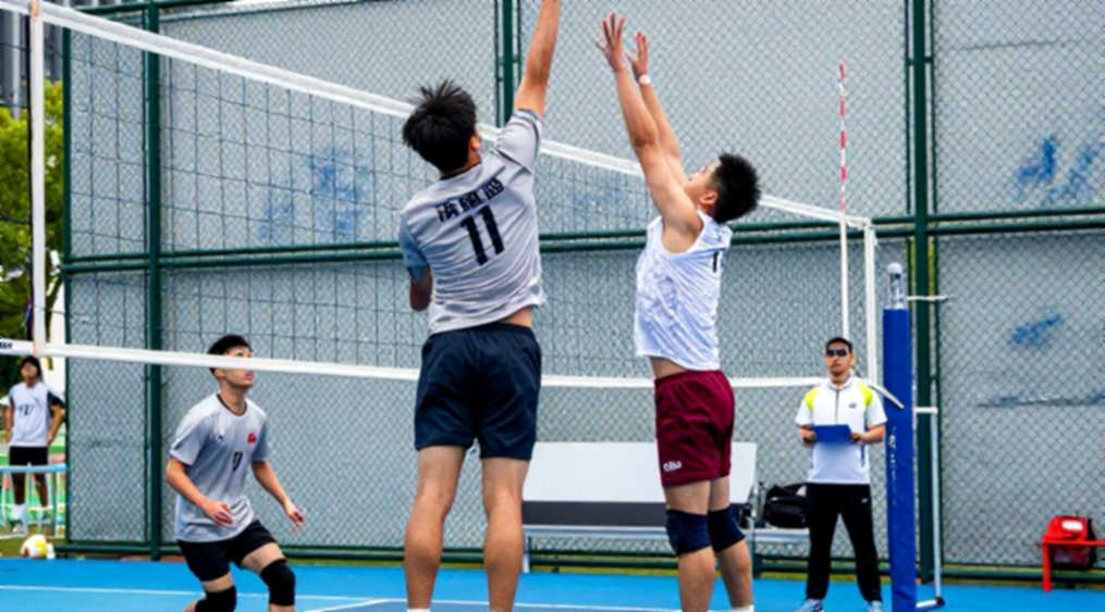 Brazil vô địch bóng chuyền nữ Nam Mỹ lần thứ 16 liên tiếp: Chiến thắng 3-0 trước Argentina và tấm vé Olympic còn chờ xác minh