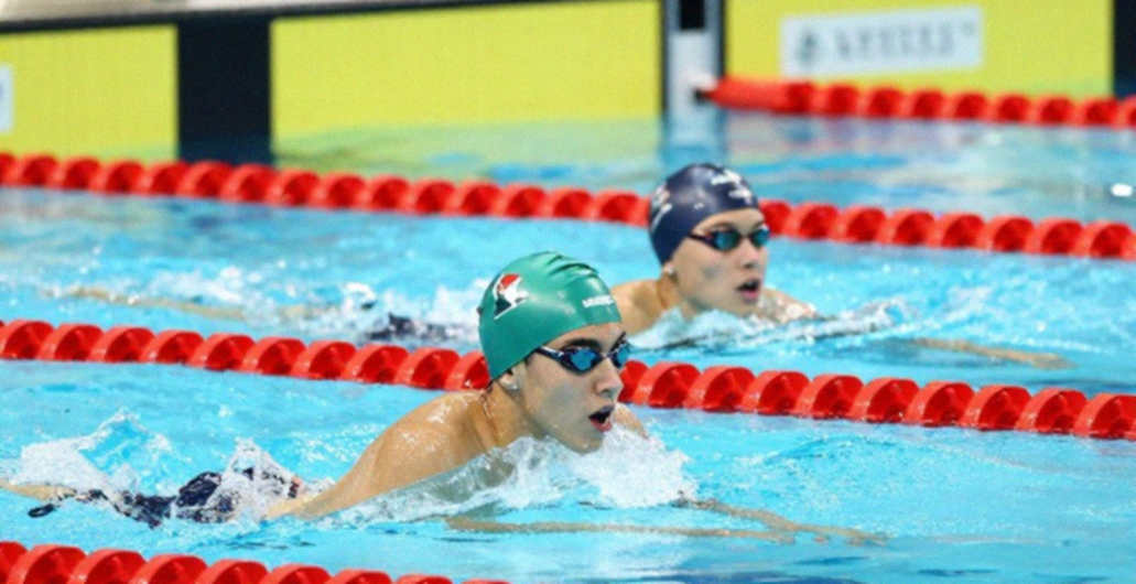 The Silent Scoreboard of the Pool: When Nobody Counts a Single Stroke